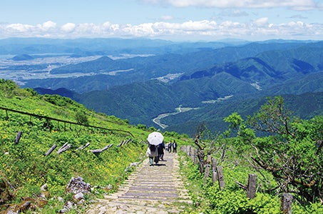 長良川鵜飼と天空の花畑伊吹山 伝統・絶景 日本の真ん中 夏の旅路を往く 岐阜県モニターツアー3日間1
